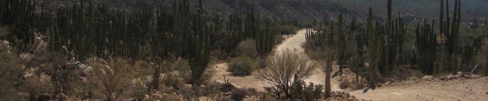 The Washboard Highway